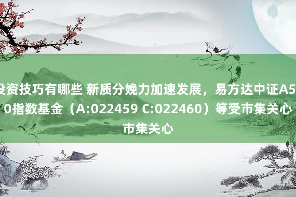 投资技巧有哪些 新质分娩力加速发展，易方达中证A500指数基金（A:022459 C:022460）等受市集关心