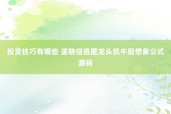 投资技巧有哪些 邃晓信逃匿龙头抓牛股想象公式源码