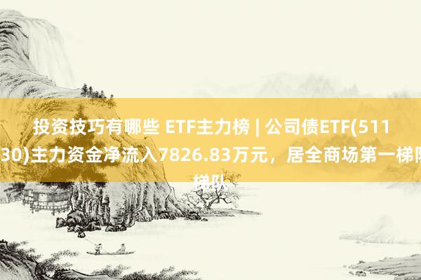 投资技巧有哪些 ETF主力榜 | 公司债ETF(511030)主力资金净流入7826.83万元，居全商场第一梯队