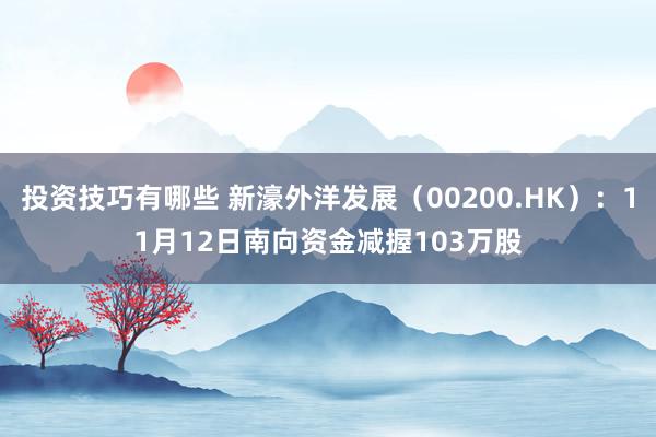 投资技巧有哪些 新濠外洋发展（00200.HK）：11月12日南向资金减握103万股