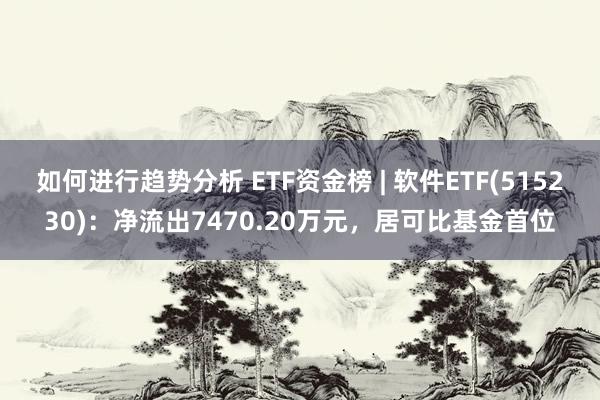 如何进行趋势分析 ETF资金榜 | 软件ETF(515230)：净流出7470.20万元，居可比基金首位