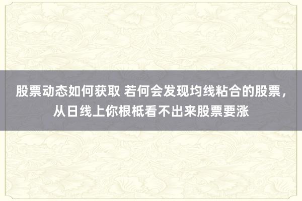 股票动态如何获取 若何会发现均线粘合的股票，从日线上你根柢看不出来股票要涨