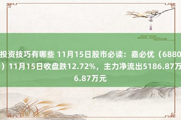 投资技巧有哪些 11月15日股市必读：嘉必优（688089）11月15日收盘跌12.72%，主力净流出5186.87万元