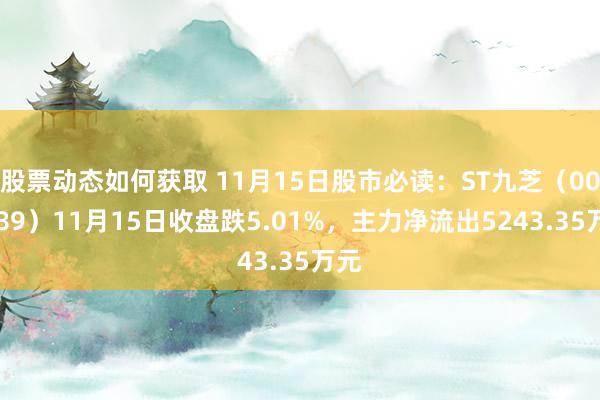 股票动态如何获取 11月15日股市必读：ST九芝（000989）11月15日收盘跌5.01%，主力净流出5243.35万元