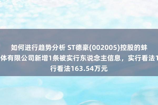 如何进行趋势分析 ST德豪(002005)控股的蚌埠三颐半导体有限公司新增1条被实行东说念主信息，实行看法163.54万元