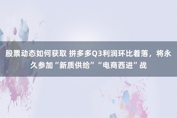 股票动态如何获取 拼多多Q3利润环比着落，将永久参加“新质供给”“电商西进”战