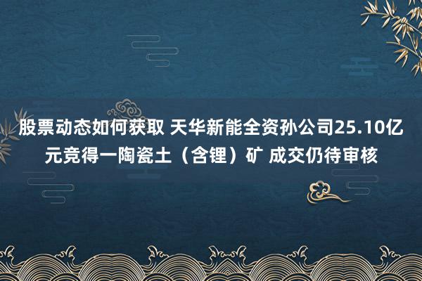 股票动态如何获取 天华新能全资孙公司25.10亿元竞得一陶瓷土（含锂）矿 成交仍待审核