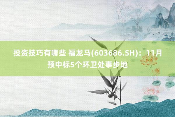 投资技巧有哪些 福龙马(603686.SH)：11月预中标5个环卫处事步地