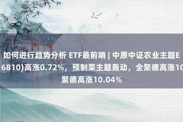 如何进行趋势分析 ETF最前哨 | 中原中证农业主题ETF(516810)高涨0.72%，预制菜主题轰动，全聚德高涨10.04%