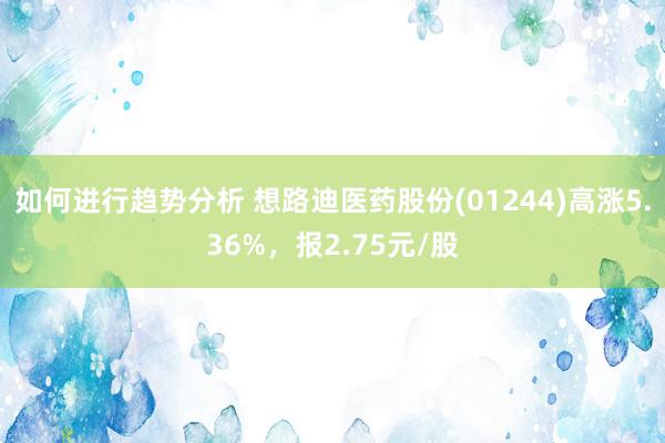 如何进行趋势分析 想路迪医药股份(01244)高涨5.36%，报2.75元/股