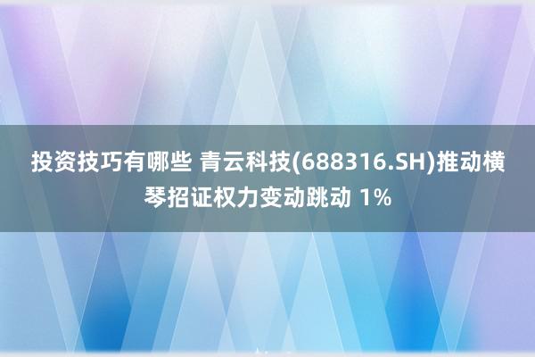 投资技巧有哪些 青云科技(688316.SH)推动横琴招证权力变动跳动 1%