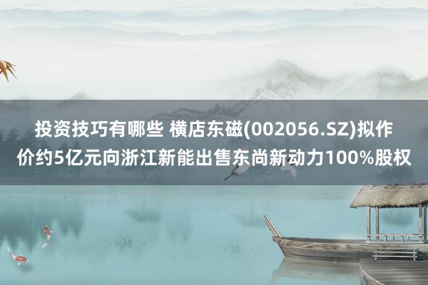 投资技巧有哪些 横店东磁(002056.SZ)拟作价约5亿元向浙江新能出售东尚新动力100%股权