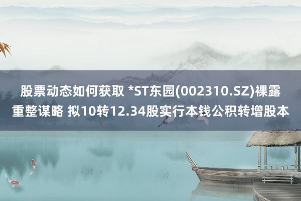 股票动态如何获取 *ST东园(002310.SZ)裸露重整谋略 拟10转12.34股实行本钱公积转增股本