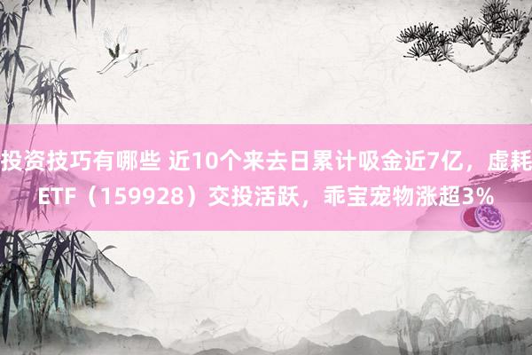 投资技巧有哪些 近10个来去日累计吸金近7亿，虚耗ETF（159928）交投活跃，乖宝宠物涨超3%