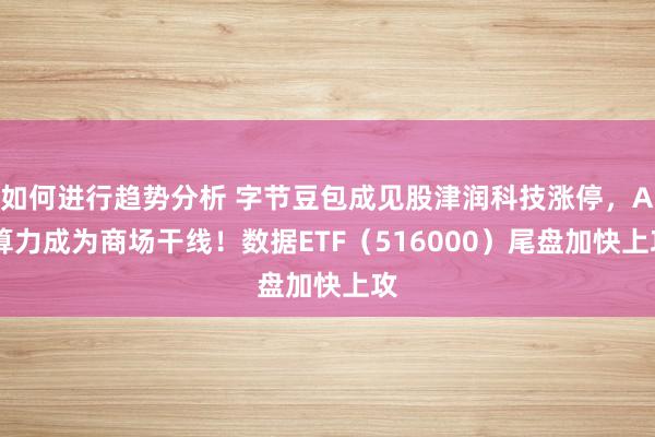 如何进行趋势分析 字节豆包成见股津润科技涨停，AI算力成为商场干线！数据ETF（516000）尾盘加快上攻