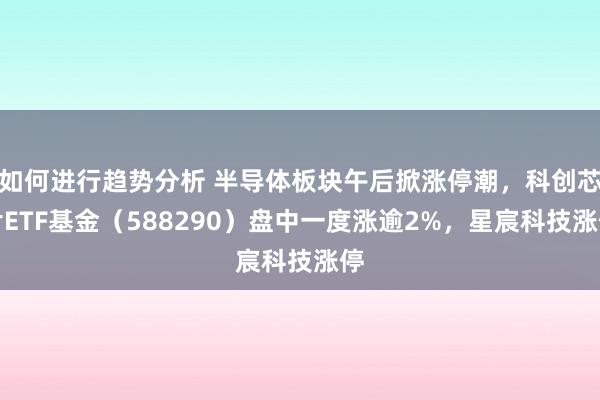 如何进行趋势分析 半导体板块午后掀涨停潮，科创芯片ETF基金（588290）盘中一度涨逾2%，星宸科技涨停