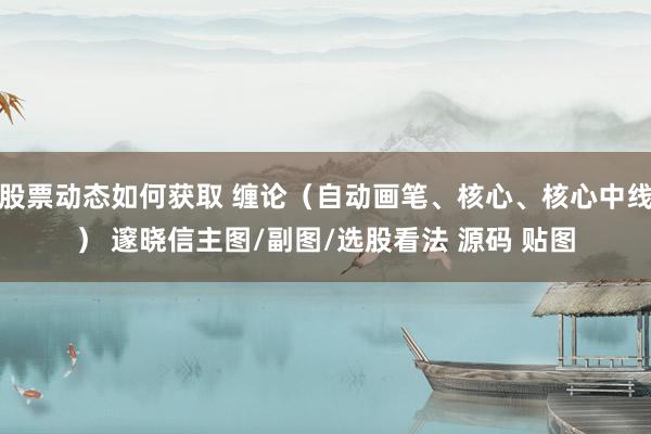 股票动态如何获取 缠论（自动画笔、核心、核心中线） 邃晓信主图/副图/选股看法 源码 贴图