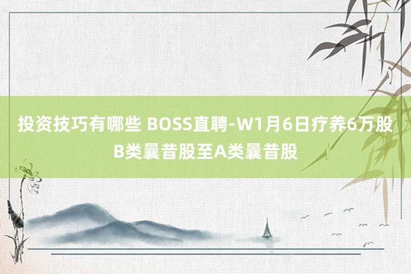 投资技巧有哪些 BOSS直聘-W1月6日疗养6万股B类曩昔股至A类曩昔股