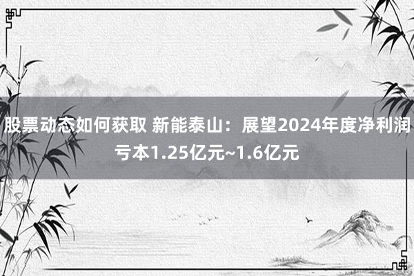 股票动态如何获取 新能泰山：展望2024年度净利润亏本1.25亿元~1.6亿元