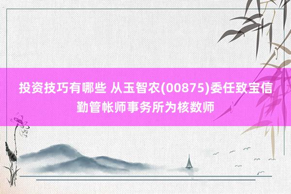 投资技巧有哪些 从玉智农(00875)委任致宝信勤管帐师事务所为核数师