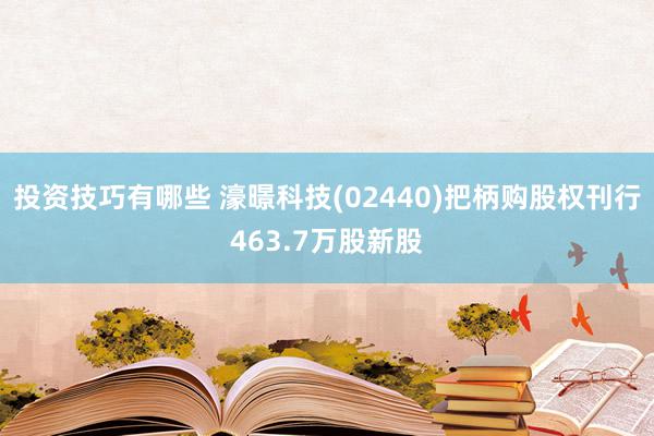 投资技巧有哪些 濠暻科技(02440)把柄购股权刊行463.7万股新股