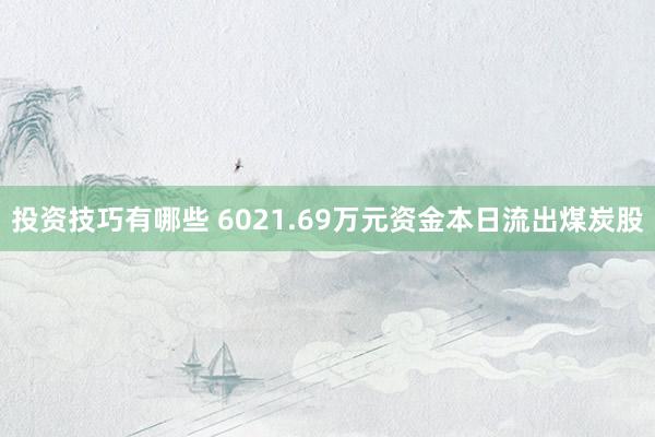 投资技巧有哪些 6021.69万元资金本日流出煤炭股