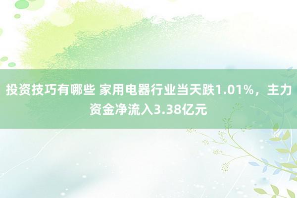 投资技巧有哪些 家用电器行业当天跌1.01%，主力资金净流入3.38亿元