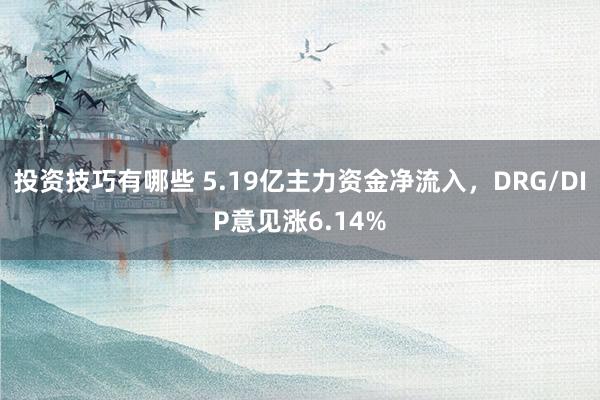 投资技巧有哪些 5.19亿主力资金净流入，DRG/DIP意见涨6.14%