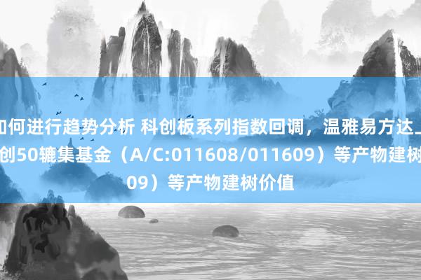 如何进行趋势分析 科创板系列指数回调，温雅易方达上证科创50辘集基金（A/C:011608/011609）等产物建树价值