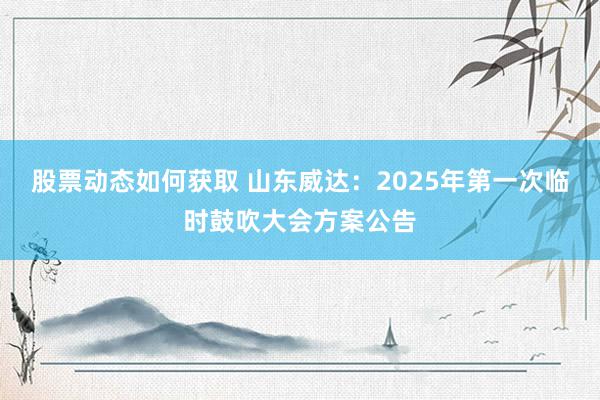 股票动态如何获取 山东威达：2025年第一次临时鼓吹大会方案公告