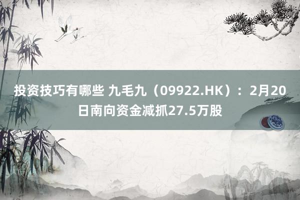 投资技巧有哪些 九毛九（09922.HK）：2月20日南向资金减抓27.5万股