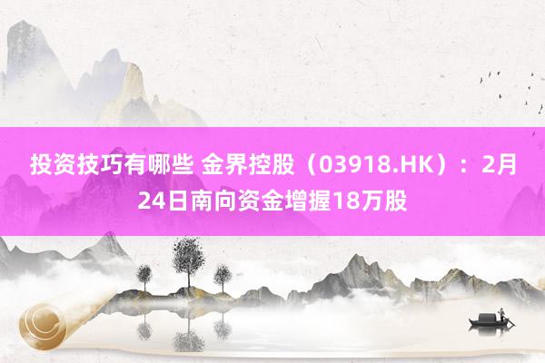 投资技巧有哪些 金界控股（03918.HK）：2月24日南向资金增握18万股