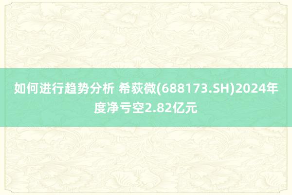 如何进行趋势分析 希荻微(688173.SH)2024年度净亏空2.82亿元