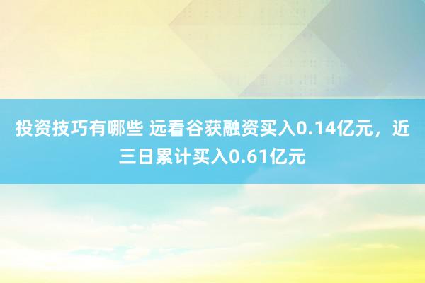 投资技巧有哪些 远看谷获融资买入0.14亿元，近三日累计买入0.61亿元