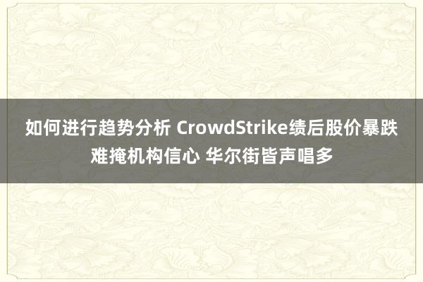 如何进行趋势分析 CrowdStrike绩后股价暴跌难掩机构信心 华尔街皆声唱多