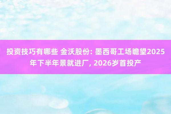 投资技巧有哪些 金沃股份: 墨西哥工场瞻望2025年下半年景就进厂, 2026岁首投产