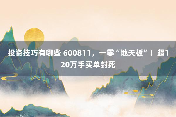 投资技巧有哪些 600811，一霎“地天板”！超120万手买单封死