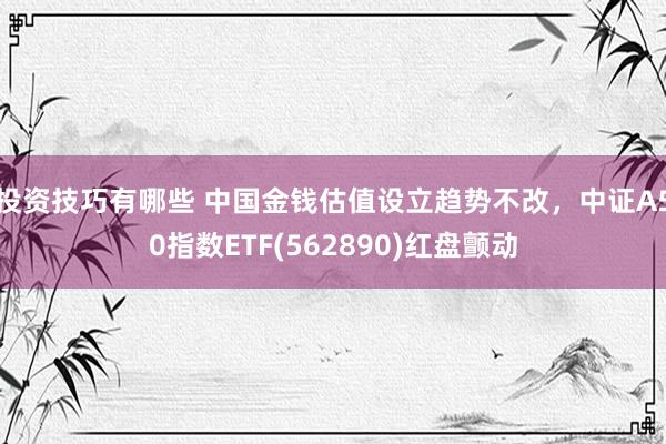 投资技巧有哪些 中国金钱估值设立趋势不改，中证A50指数ETF(562890)红盘颤动