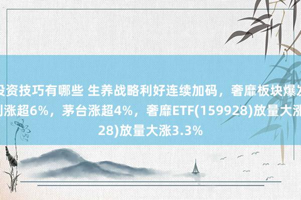 投资技巧有哪些 生养战略利好连续加码，奢靡板块爆发，伊利涨超6%，茅台涨超4%，奢靡ETF(159928)放量大涨3.3%