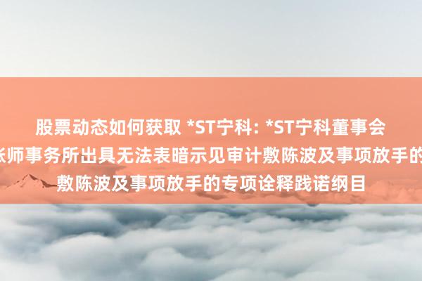 股票动态如何获取 *ST宁科: *ST宁科董事会对于2023年度管帐师事务所出具无法表暗示见审计敷陈波及事项放手的专项诠释践诺纲目