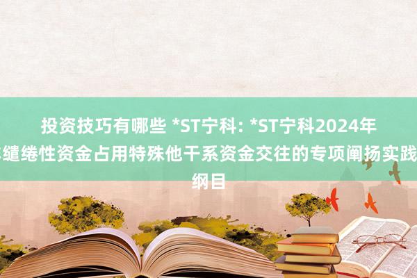 投资技巧有哪些 *ST宁科: *ST宁科2024年度非缱绻性资金占用特殊他干系资金交往的专项阐扬实践纲目