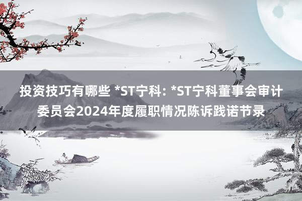 投资技巧有哪些 *ST宁科: *ST宁科董事会审计委员会2024年度履职情况陈诉践诺节录