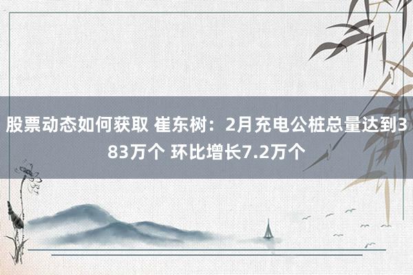 股票动态如何获取 崔东树：2月充电公桩总量达到383万个 环比增长7.2万个