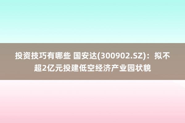 投资技巧有哪些 国安达(300902.SZ)：拟不超2亿元投建低空经济产业园状貌